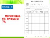 小学科学 教科版 四年级下 种植凤仙花 PPT课件