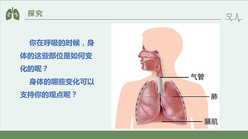 小学科学 教科版 四年级上册《感受我们的呼吸》课件08