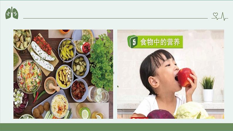 小学科学 教科版 四年级上册《食物中的营养》课件04