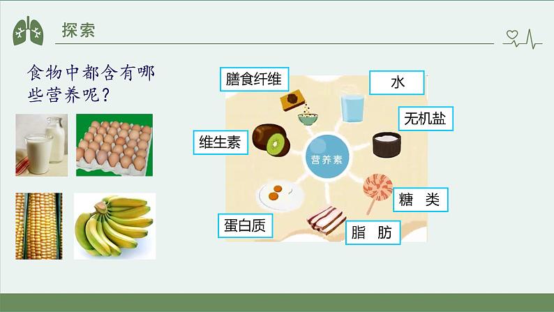 小学科学 教科版 四年级上册《食物中的营养》课件06