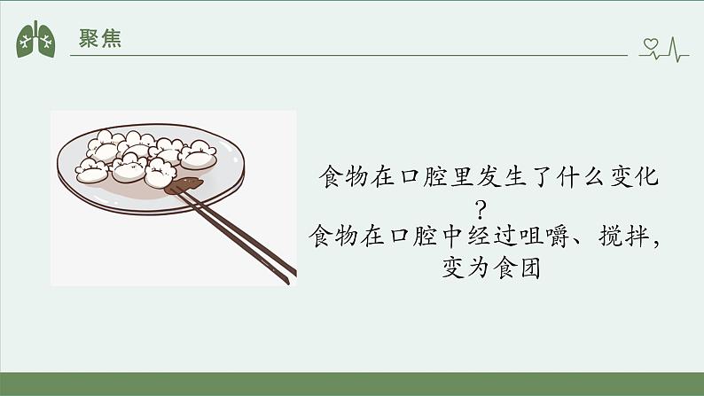 小学科学 教科版 四年级上册《食物在身体里的旅行》课件第4页