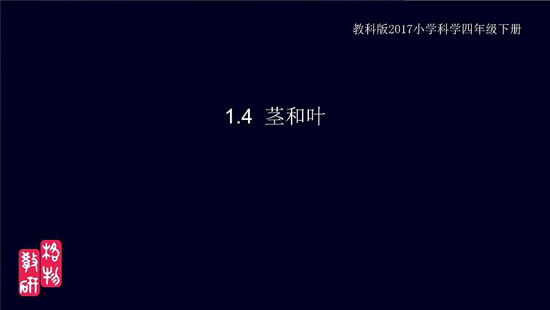 小学科学 教科版 四年级《茎和叶》课件第1页