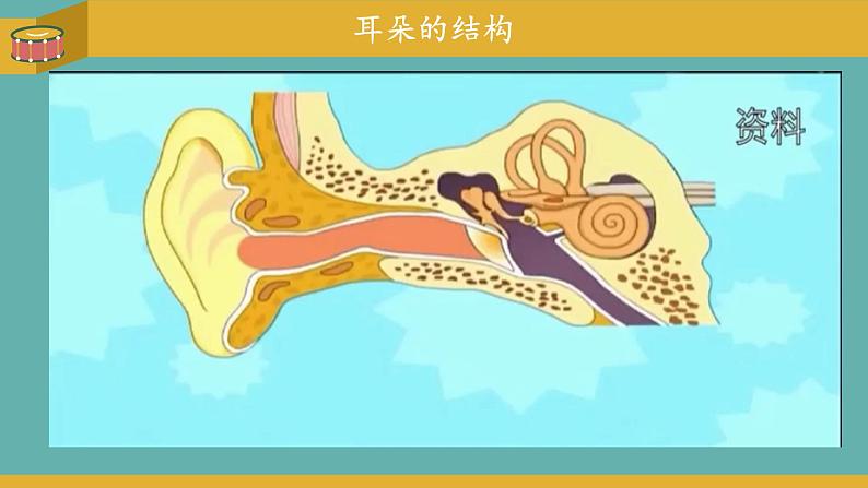 小学科学 教科版 四年级上册《我们是怎样听到声音的》 课件第5页