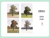 教科版六上科学 2.6《地球的公转与四季变化》课件+视频素材