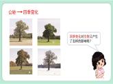 教科版六上科学 2.7《昼夜和四季变化对生物的影响》课件+视频素材