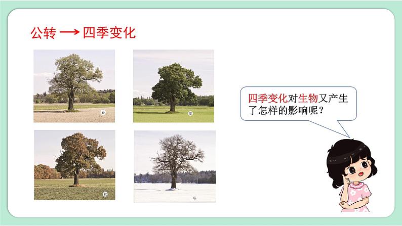 教科版六上科学 2.7《昼夜和四季变化对生物的影响》课件+视频素材03
