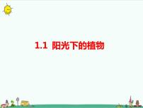 小学科学湘科版 (2017)六年级上册1 阳光下的植物课堂教学课件ppt