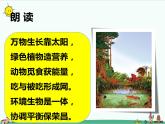 1.1《阳光下的植物》课件+教案