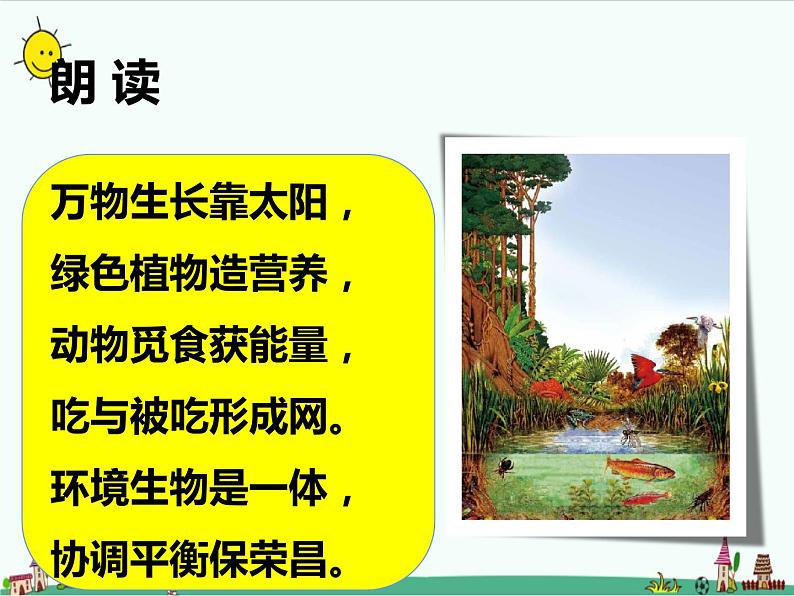 1.1《阳光下的植物》课件+教案02