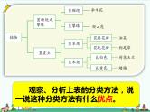 1.1《阳光下的植物》课件+教案