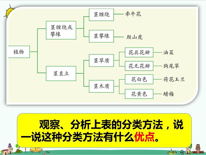 1.1《阳光下的植物》课件+教案05