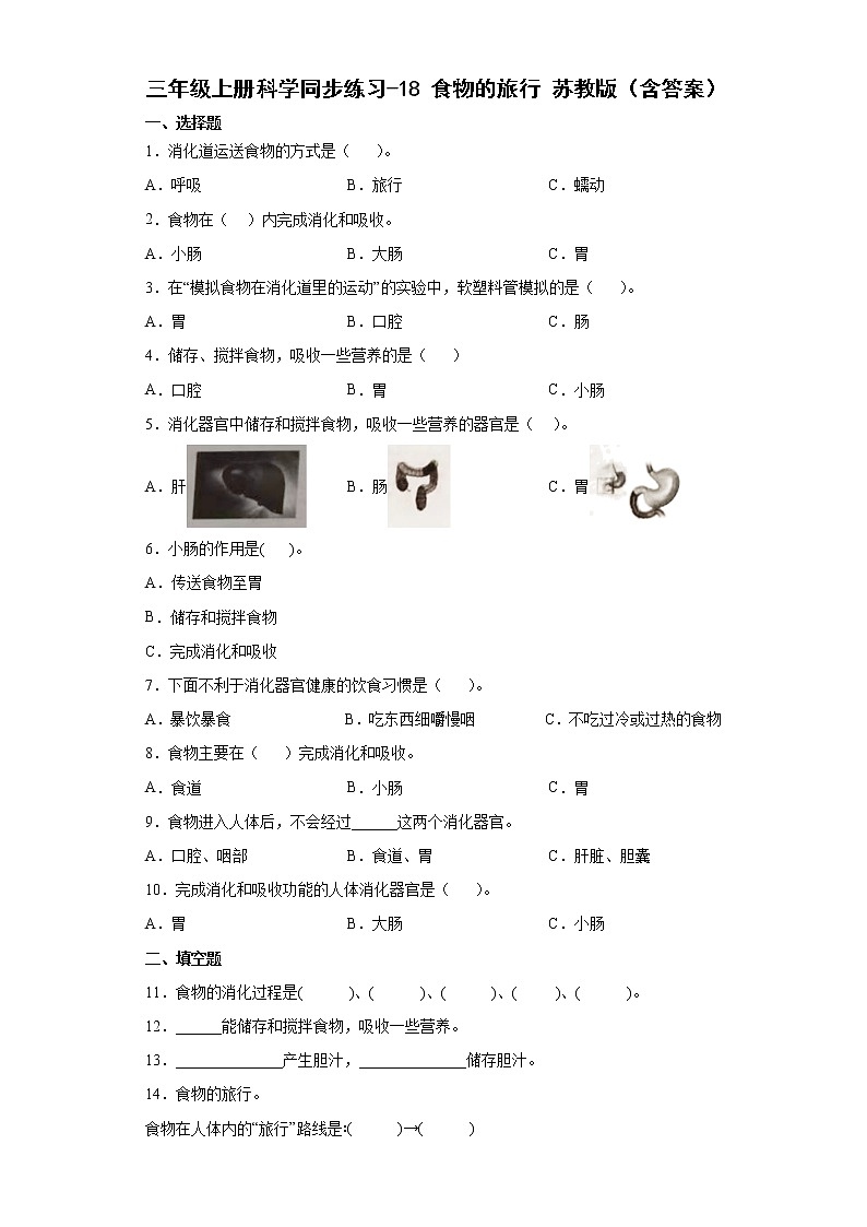 苏教版三上科学 18 食物的旅行 同步训练+答案01