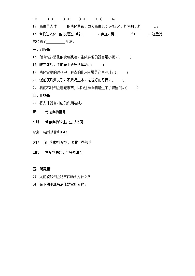 苏教版三上科学 18 食物的旅行 同步训练+答案02