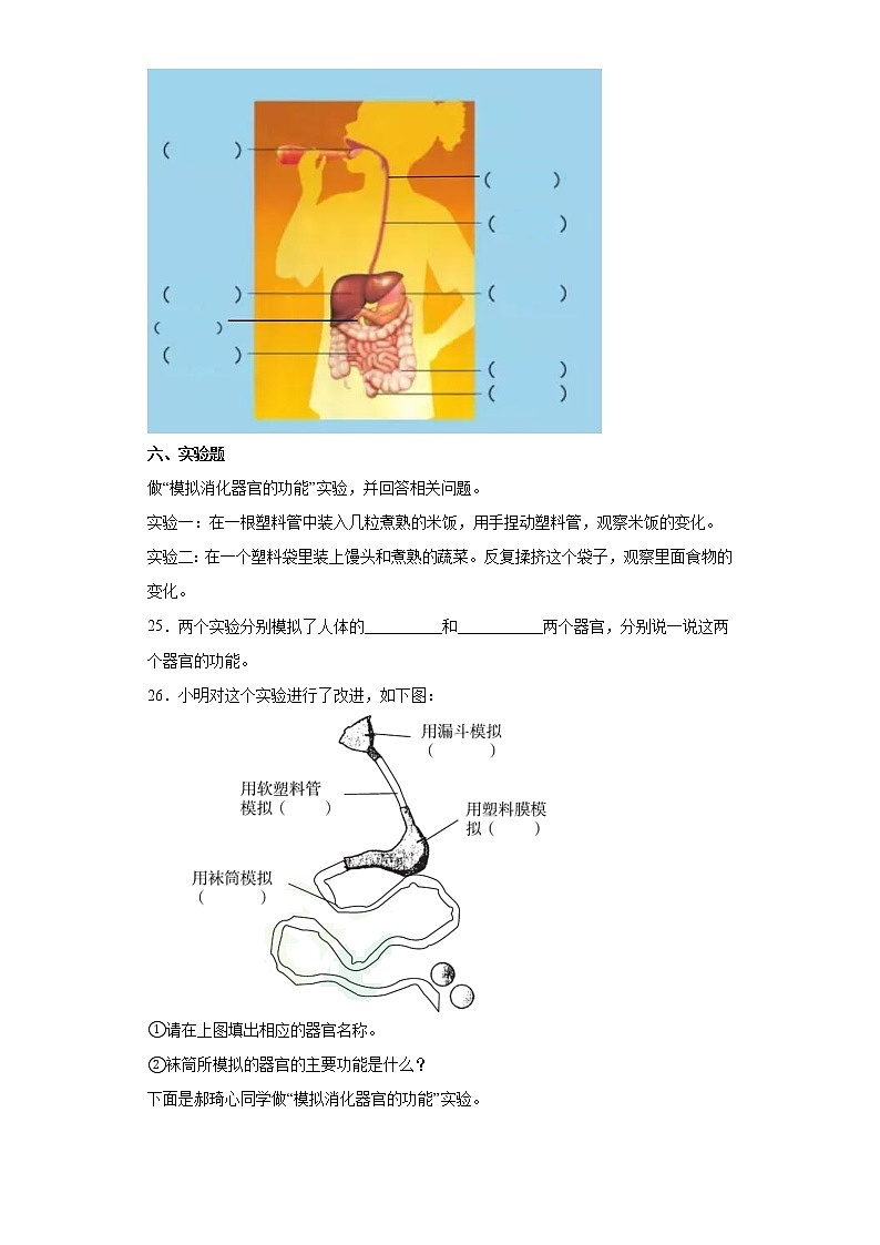 苏教版三上科学 18 食物的旅行 同步训练+答案03