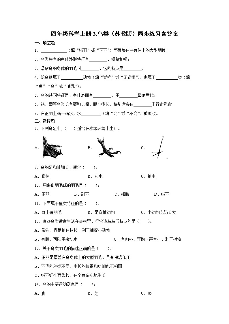 新苏教版四上科学 3鸟类 同步训练题（含答案）01
