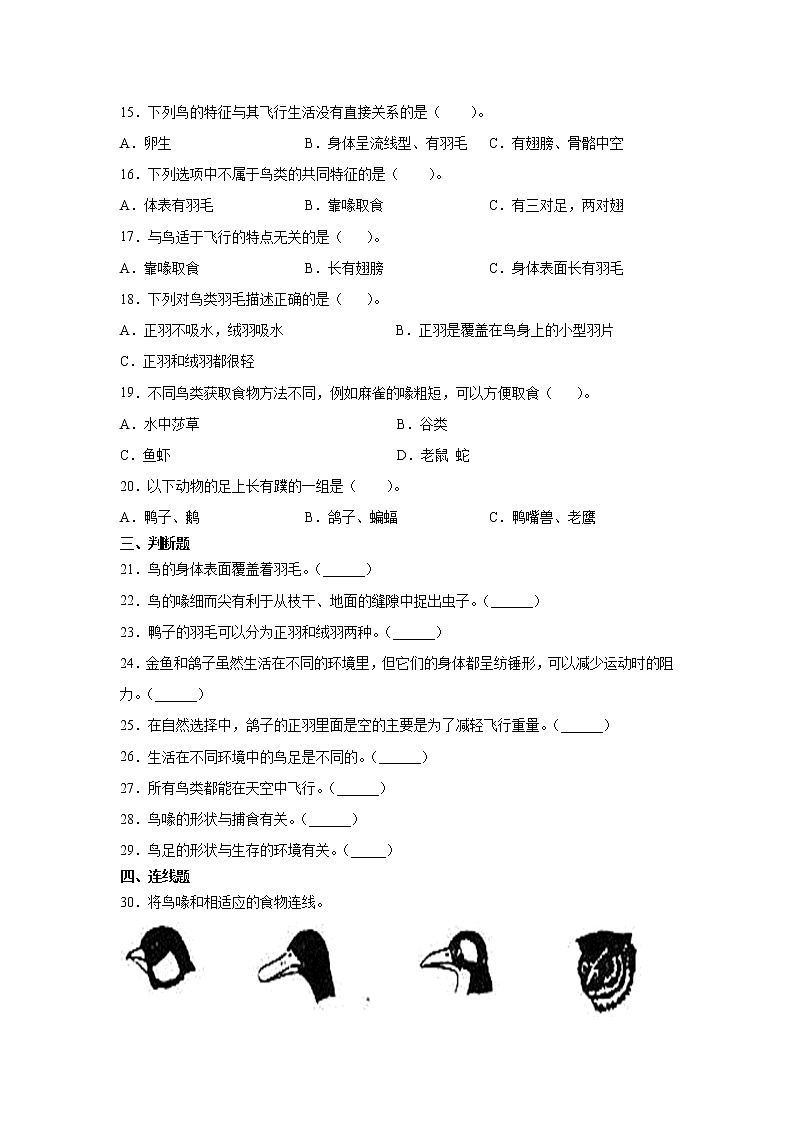 新苏教版四上科学 3鸟类 同步训练题（含答案）02