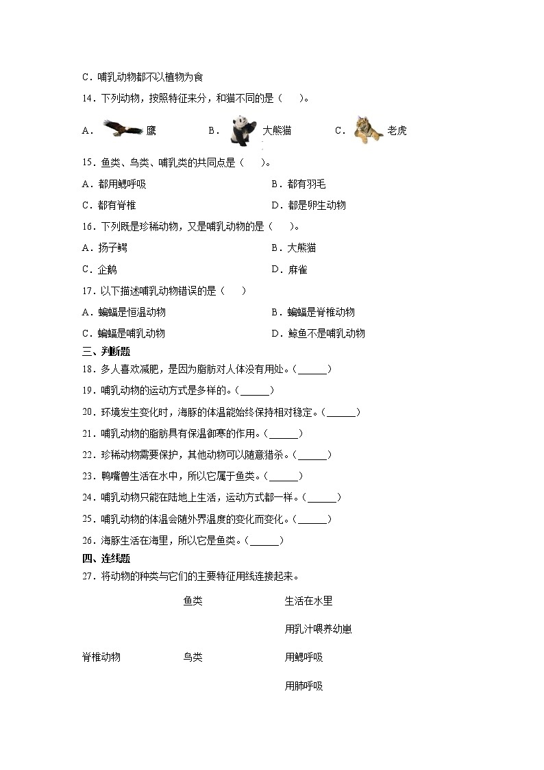 新苏教版四上科学 4 哺乳类 同步训练题（含答案）02
