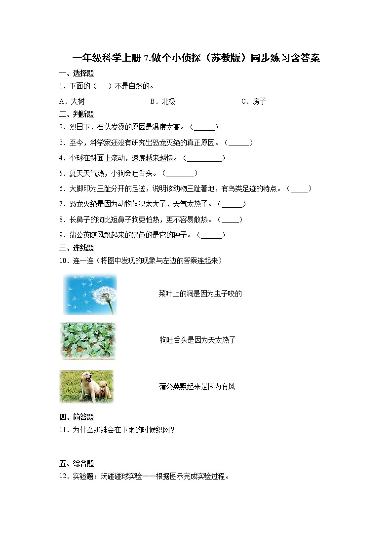 苏教版一年级上册科学 7.做个小侦探 同步训练题 (含答案)第1页