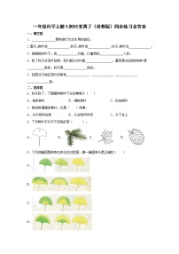 小学科学苏教版 (2017)一年级上册9.树叶变黄了课后练习题
