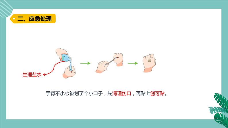 青岛版五上科学 15.划伤、擦伤怎么办 课件PPT03