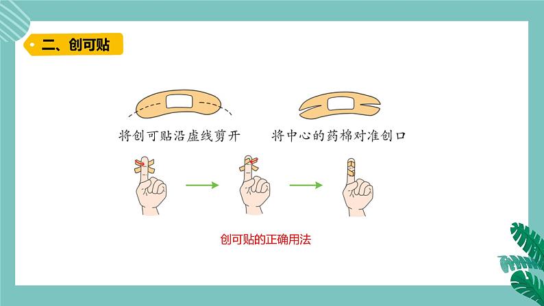 青岛版五上科学 15.划伤、擦伤怎么办 课件PPT04