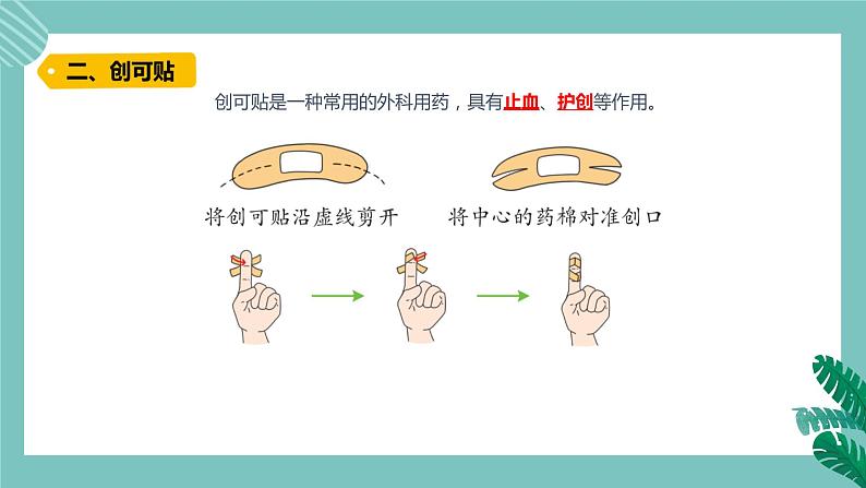 青岛版五上科学 15.划伤、擦伤怎么办 课件PPT05