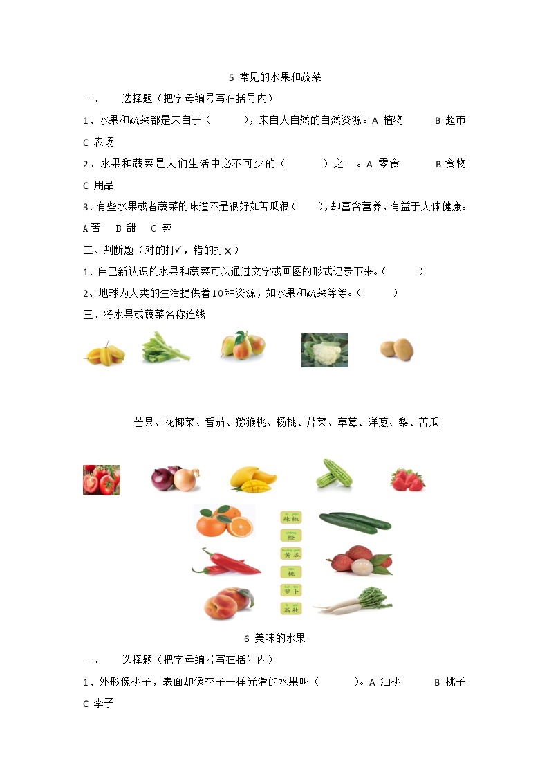 粤教粤科版科学一上 第2单元 水果和蔬菜 测试卷+答案（3课时）01
