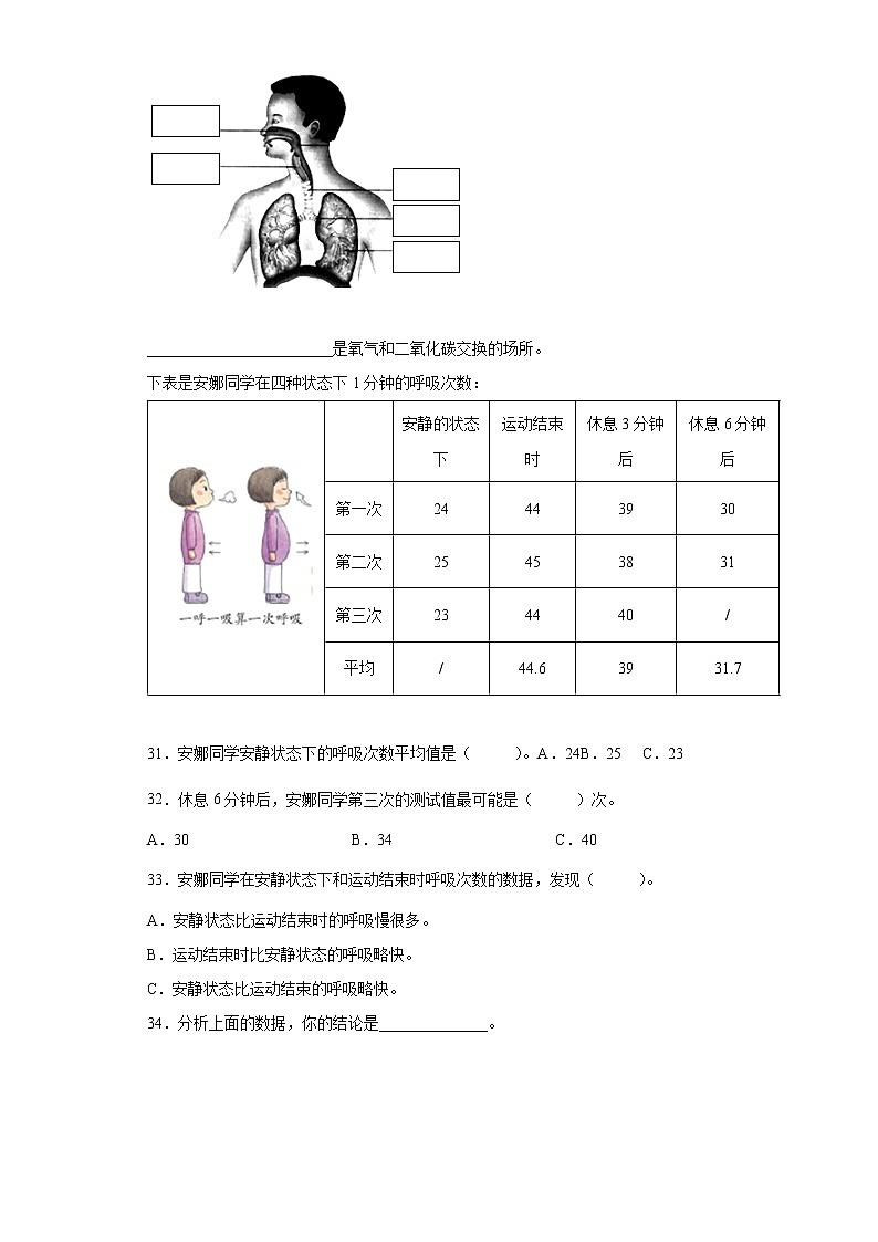 苏教版三上科学 17 运动与呼吸 同步训练+答案03