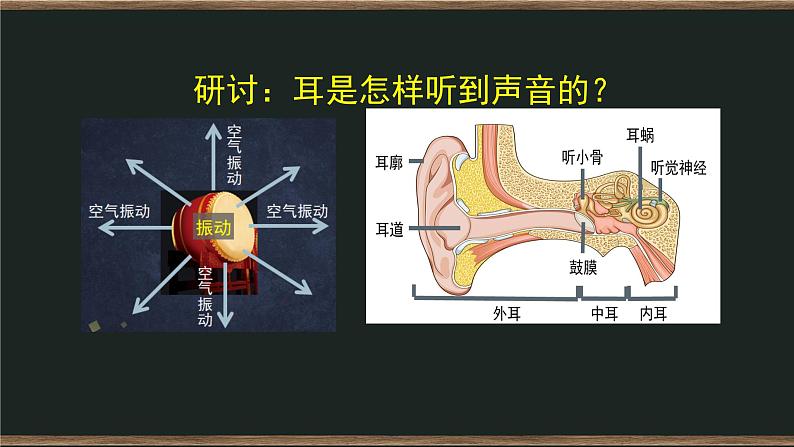 1.4 我们是怎样听到声音的 课件+教案+练习+任务单07