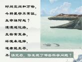 湘教版六年级下册科学《1生命的历程》课件