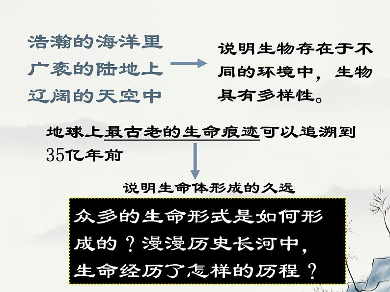 湘教版六年级下册科学《1生命的历程》课件第4页