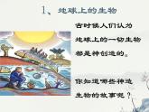 湘教版六年级下册科学《1生命的历程》课件