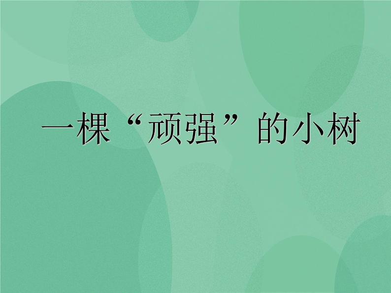 湘教版6上科学 1.1 一颗“顽强”的小树 课件+教案+素材01