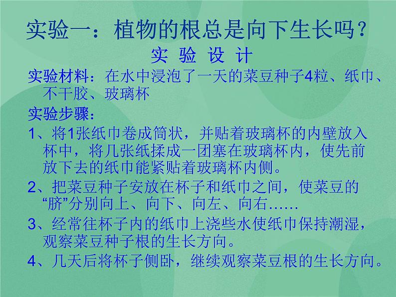 湘教版6上科学 1.1 一颗“顽强”的小树 课件+教案+素材05