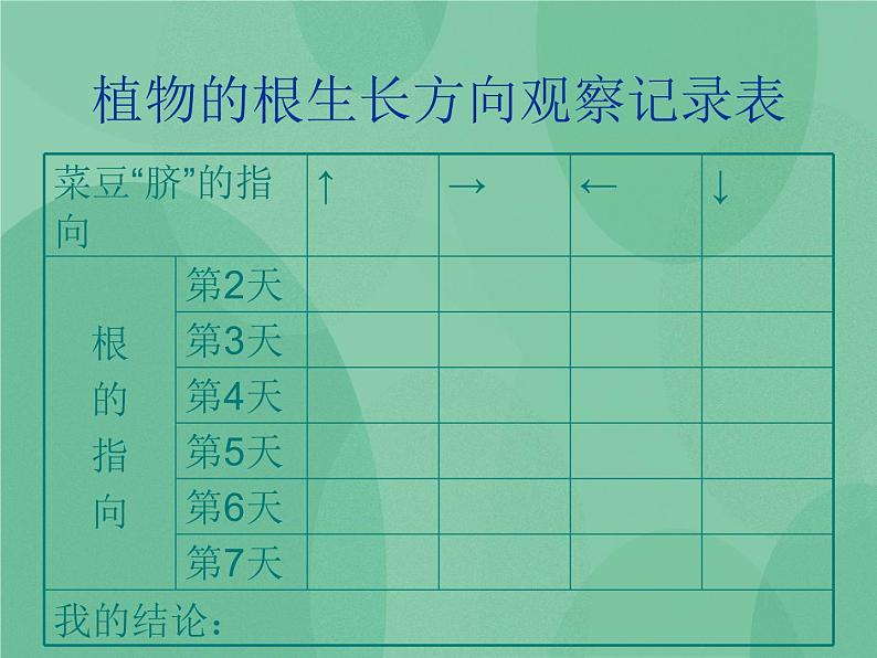 湘教版6上科学 1.1 一颗“顽强”的小树 课件+教案+素材06