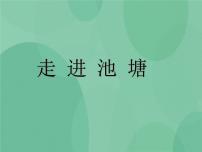 2021学年3 走进池塘优秀ppt课件