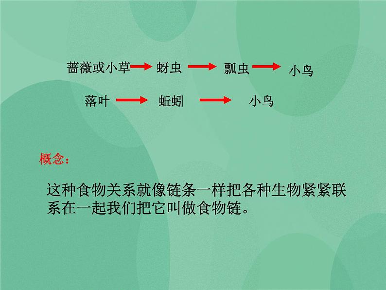 湘教版6上科学 1.3 走进池塘 课件+教案+素材04