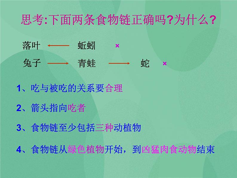 湘教版6上科学 1.3 走进池塘 课件+教案+素材06