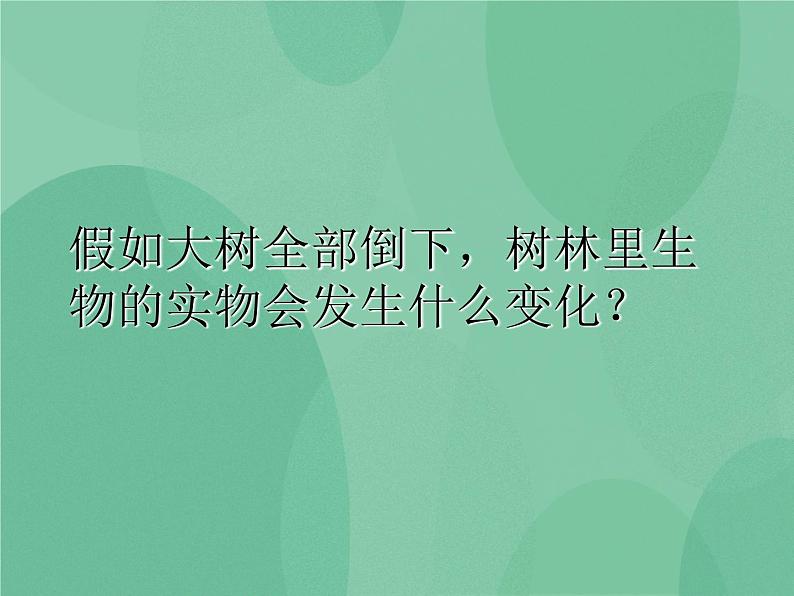 湘教版6上科学 1.4 假如大树都倒下 课件+教案+素材02