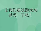 湘教版6上科学 1.4 假如大树都倒下 课件+教案+素材