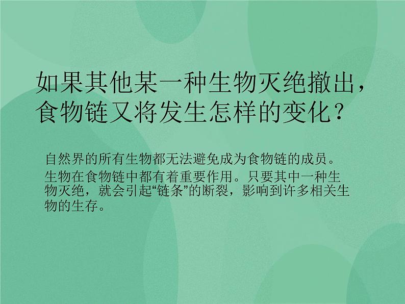 湘教版6上科学 1.4 假如大树都倒下 课件+教案+素材06