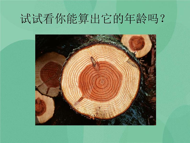 湘教版6上科学 6.2 科学自己做，我也能成功 课件+教案+素材04