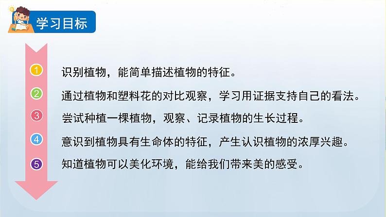 教科版一年级科学上册课件 第一单元 植物 1 我们知道的植物第2页