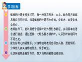 教科版一年級(jí)科學(xué)上冊(cè)課件 第一單元 植物 3 觀察葉