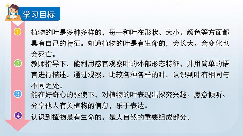 教科版一年级科学上册课件 第一单元 植物 3 观察叶第2页