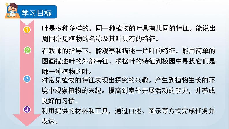 教科版一年级科学上册课件 第一单元 植物 4 这是谁的叶02