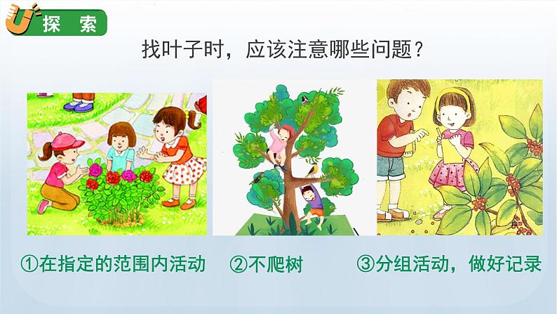 教科版一年级科学上册课件 第一单元 植物 4 这是谁的叶08