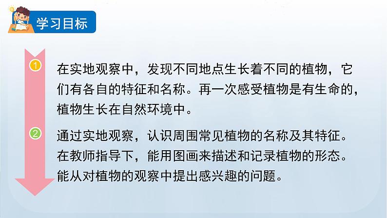 教科版一年级科学上册课件 第一单元 植物 6 校园里的植物02