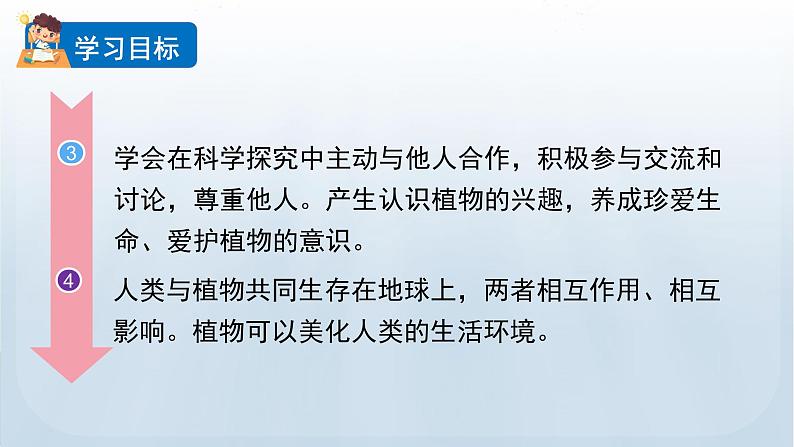 教科版一年级科学上册课件 第一单元 植物 6 校园里的植物03