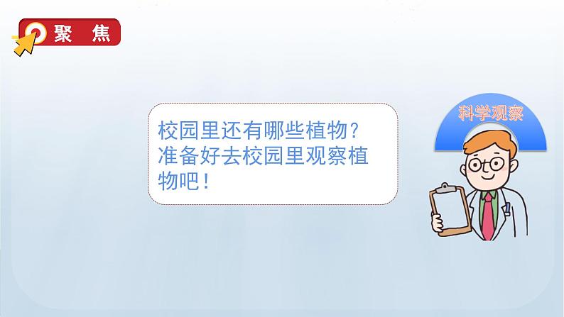 教科版一年级科学上册课件 第一单元 植物 6 校园里的植物06